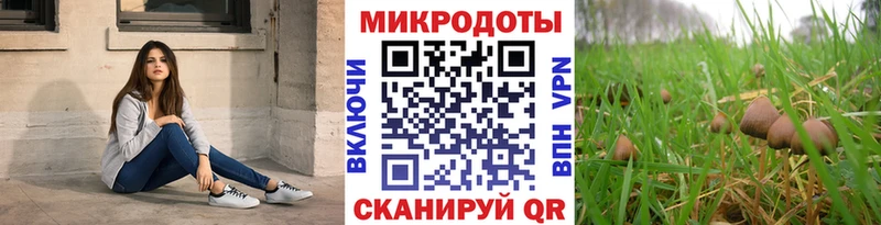 магазин продажи наркотиков Болхов Псилоцибиновые грибы Psilocybe